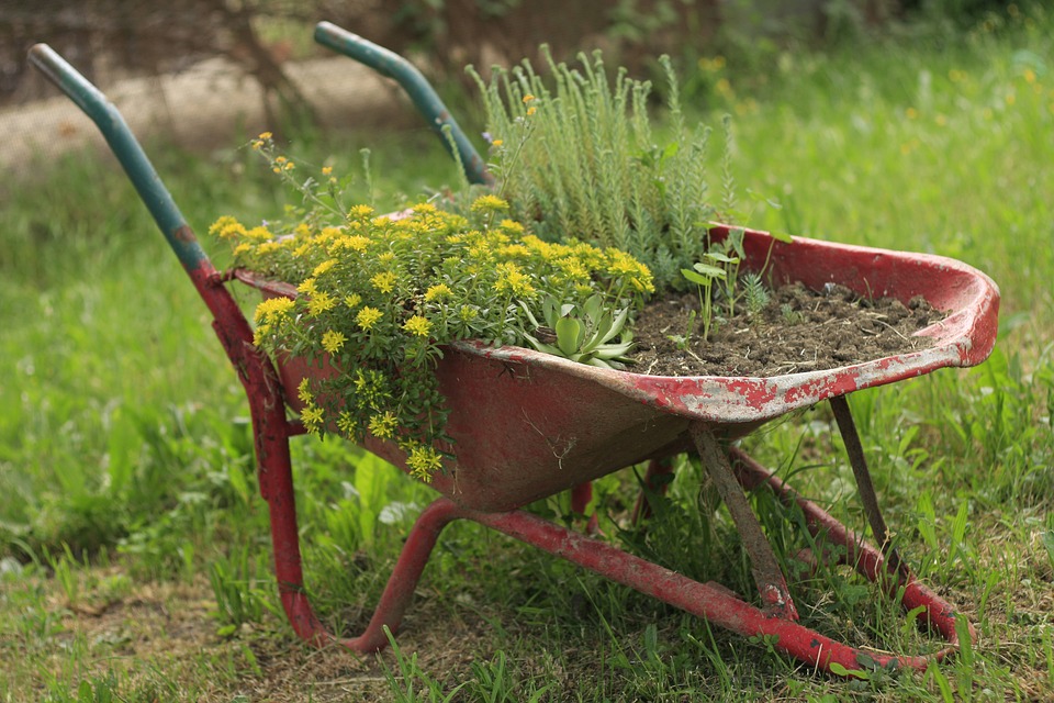 tips for landlords when hiring a gardener